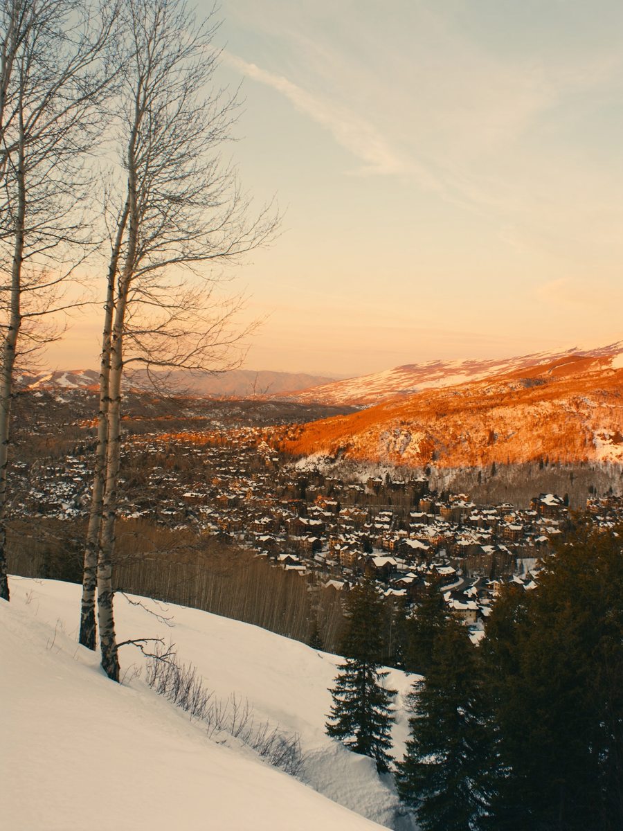 Aspen at golden hour