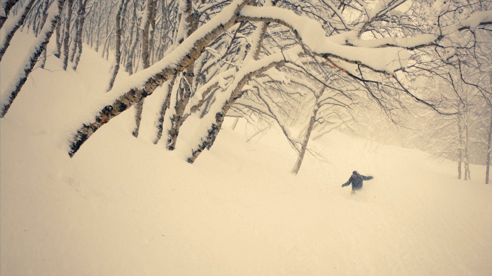 Deep powder skiing in Niseko