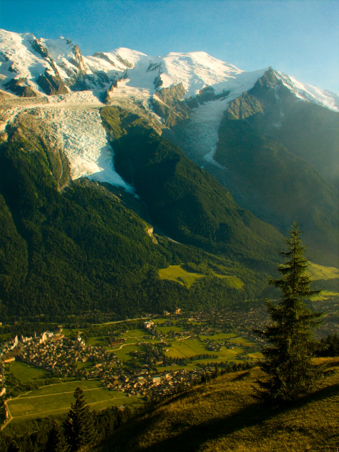 Chamonix valley green in summer beneath Mont Blanc