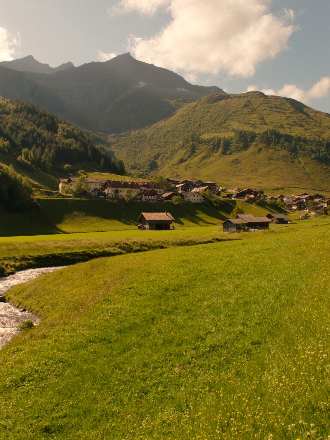 Lech village in summer green